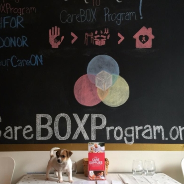 Acorn in front of CareBOX Blackboard